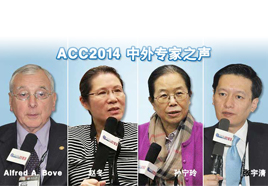 [ACC2014]聆听来自ACC.14现场的中外专家之声